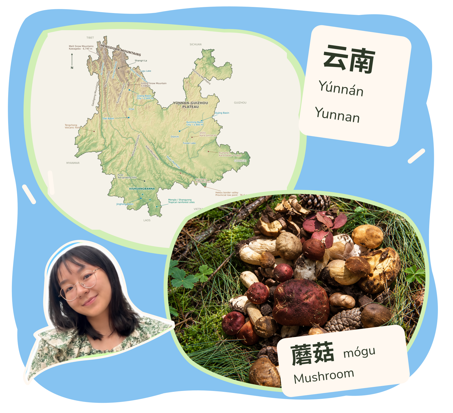 Collage of a Yunnan relief map, forest mushrooms, Chinese word cards, and a portrait of Jolin.